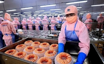 Anh gia nhập CPTPP, trợ lực giúp tôm Việt sang Anh thuận lợi