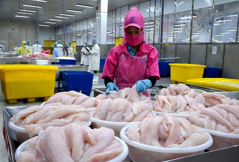 Sản phẩm cá tra của Việt Nam dự báo sẽ tăng trưởng mạnh tại thị trường Mỹ trong năm 2025 do thị phần cá rô phi giảm Sản phẩm cá tra của Việt Nam dự báo sẽ tăng trưởng mạnh tại thị trường Mỹ trong năm 2025 do thị phần cá rô phi giảm