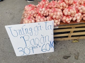 Không dễ xuất khẩu trứng gia cầm tươi, vì sao?