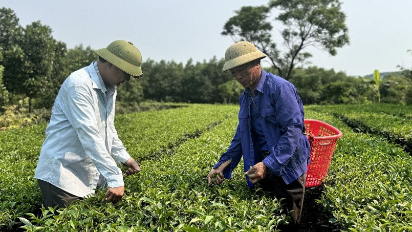 Sơn La phát triển sản phẩm địa phương từ thế mạnh chủ lực Sơn La phát triển sản phẩm địa phương từ thế mạnh chủ lực