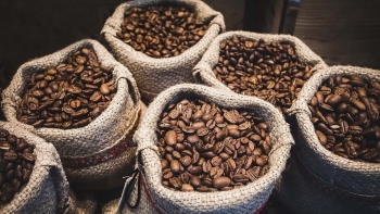 Lo ngại nguồn cung khiến giá cà phê quay đầu tăng
