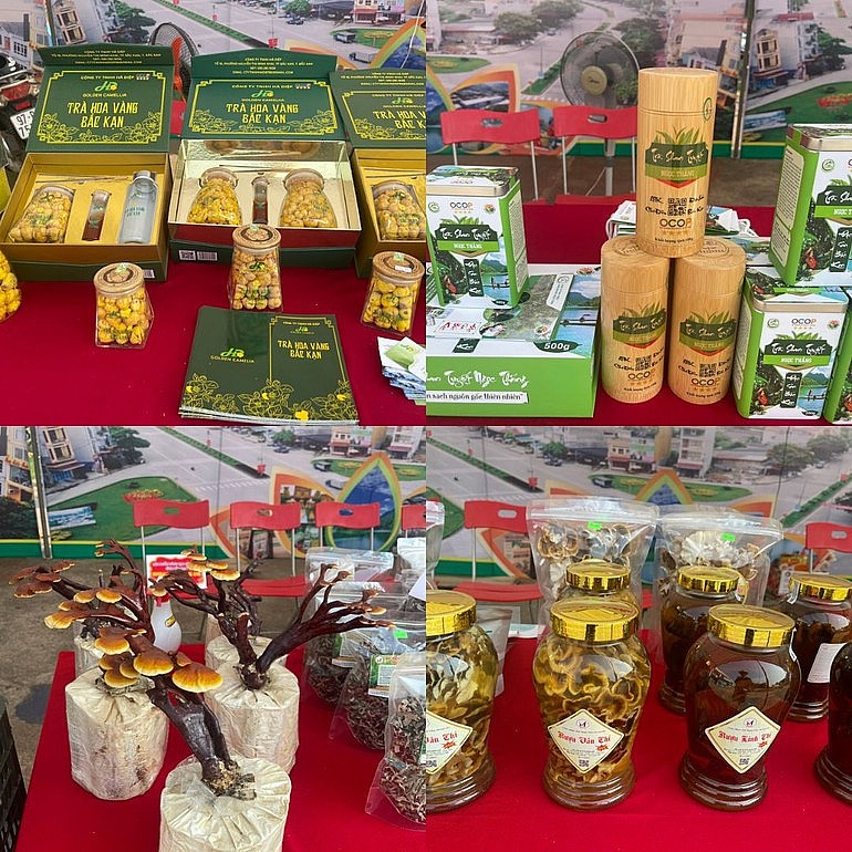 Bắc Kạn hỗ trợ để sản phẩm OCOP vươn xa