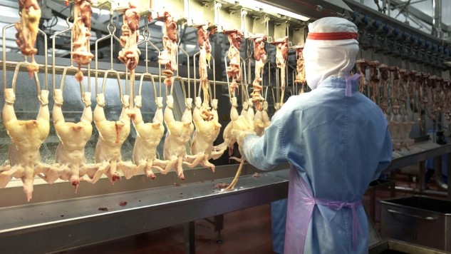 Singapore chính thức mở cửa thị trường một số sản phẩm thịt và trứng gia cầm từ Việt Nam