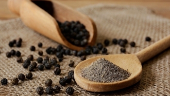 Giá tiêu tiếp tục giảm, rời xa mốc 160.000 đồng/kg