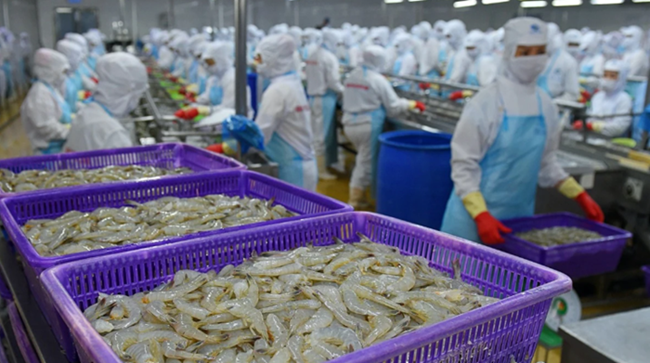 Tôm các loại tiếp tục dẫn đầu với kim ngạch 931,6 triệu USD trong quý I