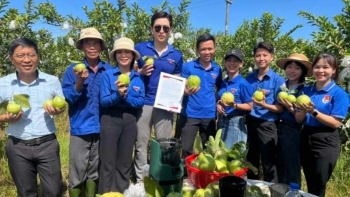 Kết nối tiêu thụ sản phẩm OCOP qua sàn thương mại điện tử