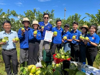 Kết nối tiêu thụ sản phẩm OCOP qua sàn thương mại điện tử