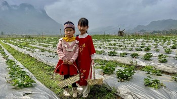 Chợ Đồn phát triển sản phẩm OCOP gắn với du lịch nông thôn