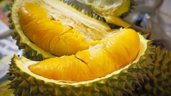 Sầu riêng mất "ngôi vương" xuất khẩu, đâu là nguyên nhân?