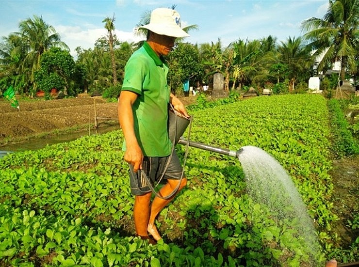 Gắn phát triển sản phẩm OCOP với xây dựng nông thôn mới