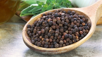 Giá tiêu lấy lại mốc 150.000 đồng/kg