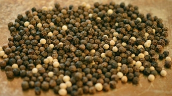 Điều gì khiến giá tiêu tăng đến 5.000 đồng/kg?