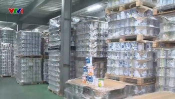 Triệt phá đường dây sản xuất gần 600 loại sữa bột giả, thu lợi gần 500 tỉ đồng