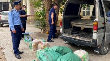 Lạng Sơn: Phát hiện và tiêu hủy 4.100 sản phẩm xúc xích nhập lậu