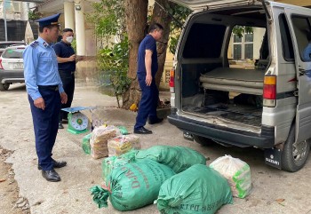 Lạng Sơn: Phát hiện và tiêu hủy 4.100 sản phẩm xúc xích nhập lậu