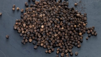 Giá tiêu tăng liên tiếp, kỳ vọng lấy lại mốc 160.000 đồng/kg