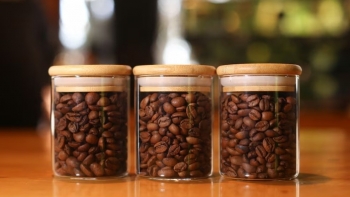 Giá cà phê đang trở lại xu hướng tăng khi cơn bão thuế quan đi qua