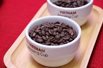 Giá cà phê bất ngờ quay đầu giảm mạnh