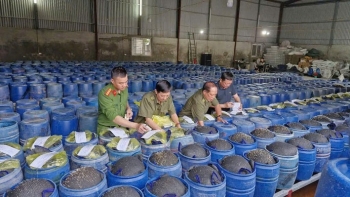 Nghệ An triệt phá đường dây sản xuất 3.500 tấn giá đỗ ngâm hóa chất
