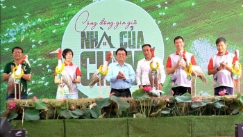 Tiếp nhận 6 cá thể sếu đầu đỏ về Vườn quốc gia Tràm Chim