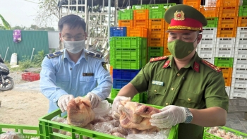 Tạm giữ hàng chục tấn gà đông lạnh không rõ nguồn gốc tại Hà Nội