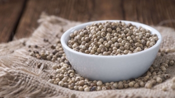 Thị trường hồ tiêu kỳ vọng khởi sắc ngay sau nghỉ lễ