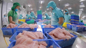 Mỹ và Trung Quốc mua nhiều cá tra Việt Nam nhất