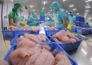 Mỹ và Trung Quốc mua nhiều cá tra Việt Nam nhất