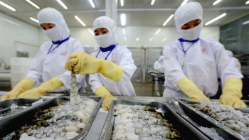 Tận dụng “90 ngày vàng”, doanh nghiệp Việt tăng tốc xuất khẩu sang Mỹ