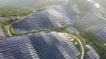 Tăng tốc đầu tư xanh: Cơ hội vượt lên trong bối cảnh biến động