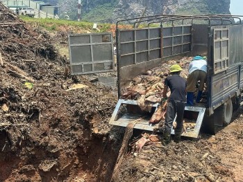 Tiêu hủy gần 5 tấn da trâu, da bò không rõ nguồn gốc tại Thanh Hóa