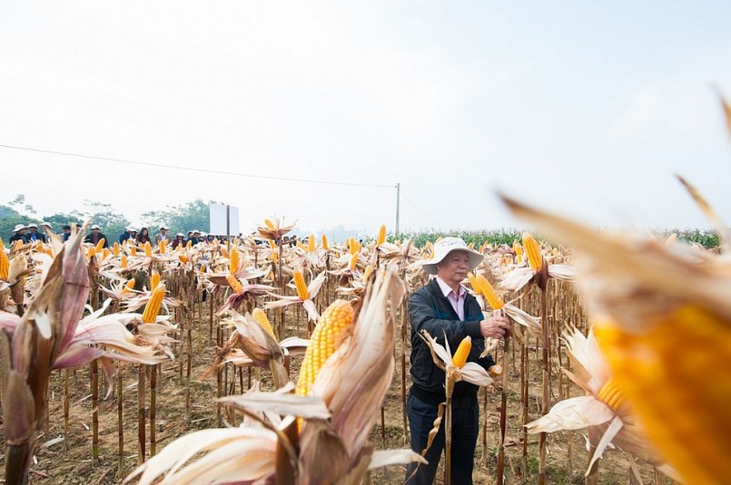 Tăng giá trị sản phẩm: Lấy khoa học công nghệ làm nền tảng