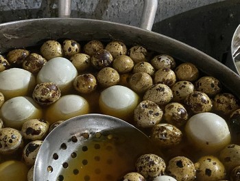 Hột vịt lộn nước dừa Vũng Tàu – Món ăn vặt thanh mát, không nên bỏ qua