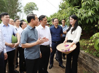 Bộ trưởng Đỗ Đức Duy: Vải thiều Bắc Giang đã tạo dựng được chuỗi giá trị mẫu mực