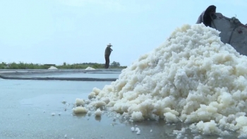 Muối Thụy Hải – Từ nghề truyền thống trở thành di sản văn hóa quốc gia