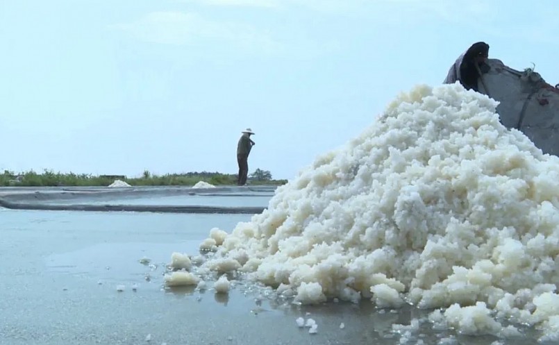 Thái Bình vinh danh nghề làm muối Thụy Hải là Di sản Quốc gia Thái Bình vinh danh nghề làm muối Thụy Hải là Di sản Quốc gia