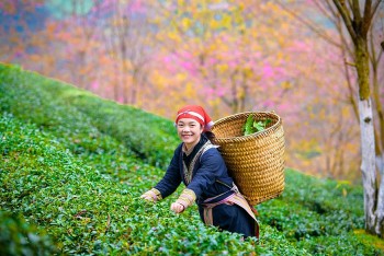 Phát triển sản phẩm thiên nhiên: Cơ hội từ Nghị quyết 68