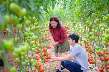 Chính phủ tiếp sức nông nghiệp hữu cơ, tuần hoàn bằng chính sách tín dụng mới