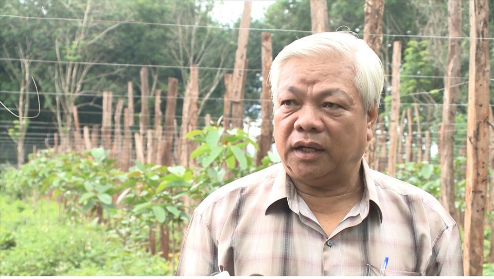 Ông Hoàng Phước Bính - Phó Chủ tịch thường trực Hiệp hội hồ tiêu Chư Sê. Ảnh T.T