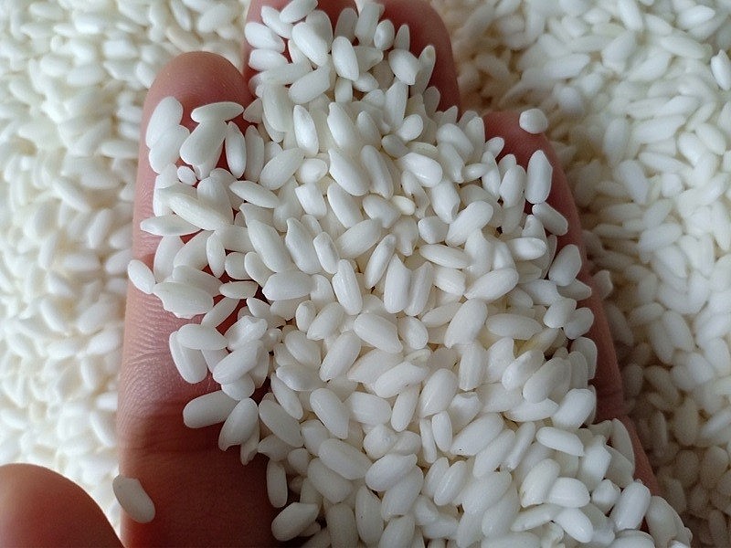 Nếp cái coa vàng Thụy Lâm: Tinh hoa nông sản Việt vươn xa Nếp cái coa vàng Thụy Lâm: Tinh hoa nông sản Việt vươn xa