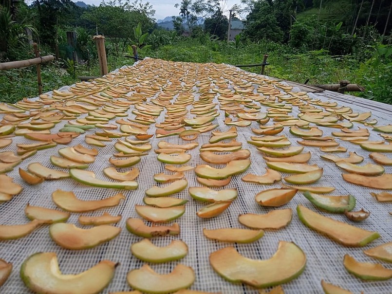 Quả tai chua – Đặc sản rừng sâu “gây thương nhớ” giữa phố thị Quả tai chua – Đặc sản rừng sâu “gây thương nhớ” giữa phố thị