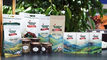 Cà phê Việt chinh phục thế giới: Bắt đầu từ chính vùng đất và con người