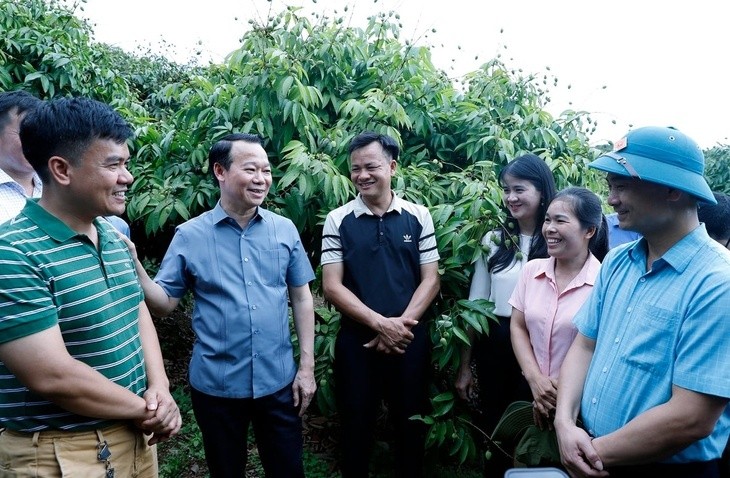 Bộ trưởng Đỗ Đức Duy trao đổi với chủ vườn vải - Ảnh: KHƯƠNG TRUNG