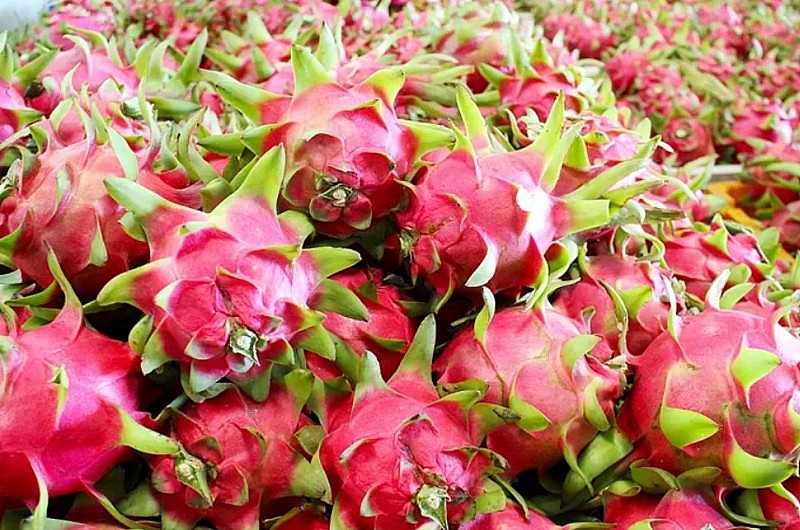 Nông sản Việt nỗ lực thích ứng trong “cuộc chơi” thị trường khắt khe Nông sản Việt nỗ lực thích ứng trong “cuộc chơi” thị trường khắt khe