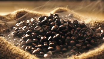 Giá cà phê tiếp tục giảm, thị trường trong nước chạm đáy 6 tuần