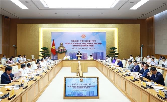 Thủ tướng Chính phủ Phạm Minh Chính chỉ đạo quyết liệt xử lý các hành vi tạo giá ảo, đầu cơ, thao túng trục lợi, lũng loạn thị trường bất động sản.