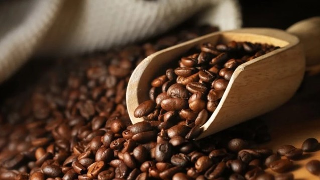 Giá cà phê nội địa đứng giá, nông dân chưa bán ra