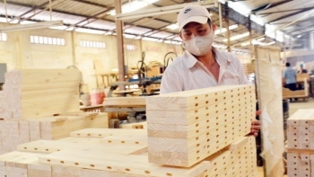 Ngành gỗ Việt Nam trước bài toán tái cấu trúc và phát triển bền vững