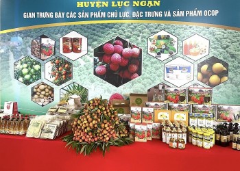 Bắc Giang kết nối vải thiều – lan tỏa thương hiệu nông sản quốc gia
