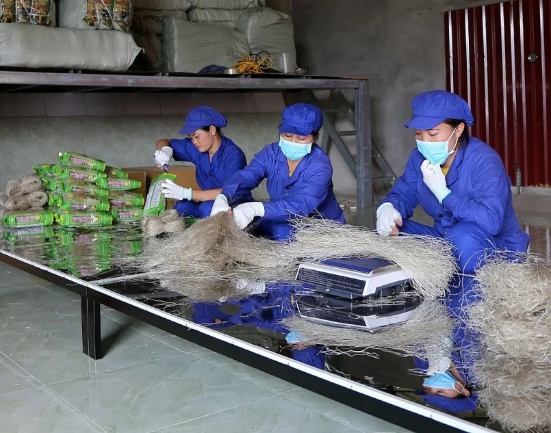 OCOP – Sức sống mới từ những giá trị quê hương OCOP – Sức sống mới từ những giá trị quê hương